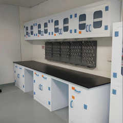 Strong Acid and Alkali Resistance and Anti-corrosion Polypropylene (PP) Laboratory Benches High-Resistance PP Wall Benches