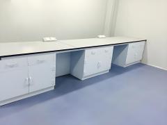 Modern Design Polypropylene Lab Bench with Reagent Shelf for Acid Alkali Resistance
