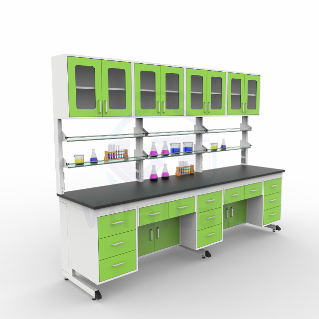 Laboratory Workbench with Cupboard Steel Frame Storage Lab Table