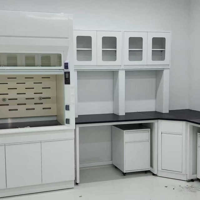 VitalLab OEM Modern Stainless Steel Corrosion-Resistant Epoxy Powder Coated Commercial Use Laboratory Furniture Fume Hood Lab