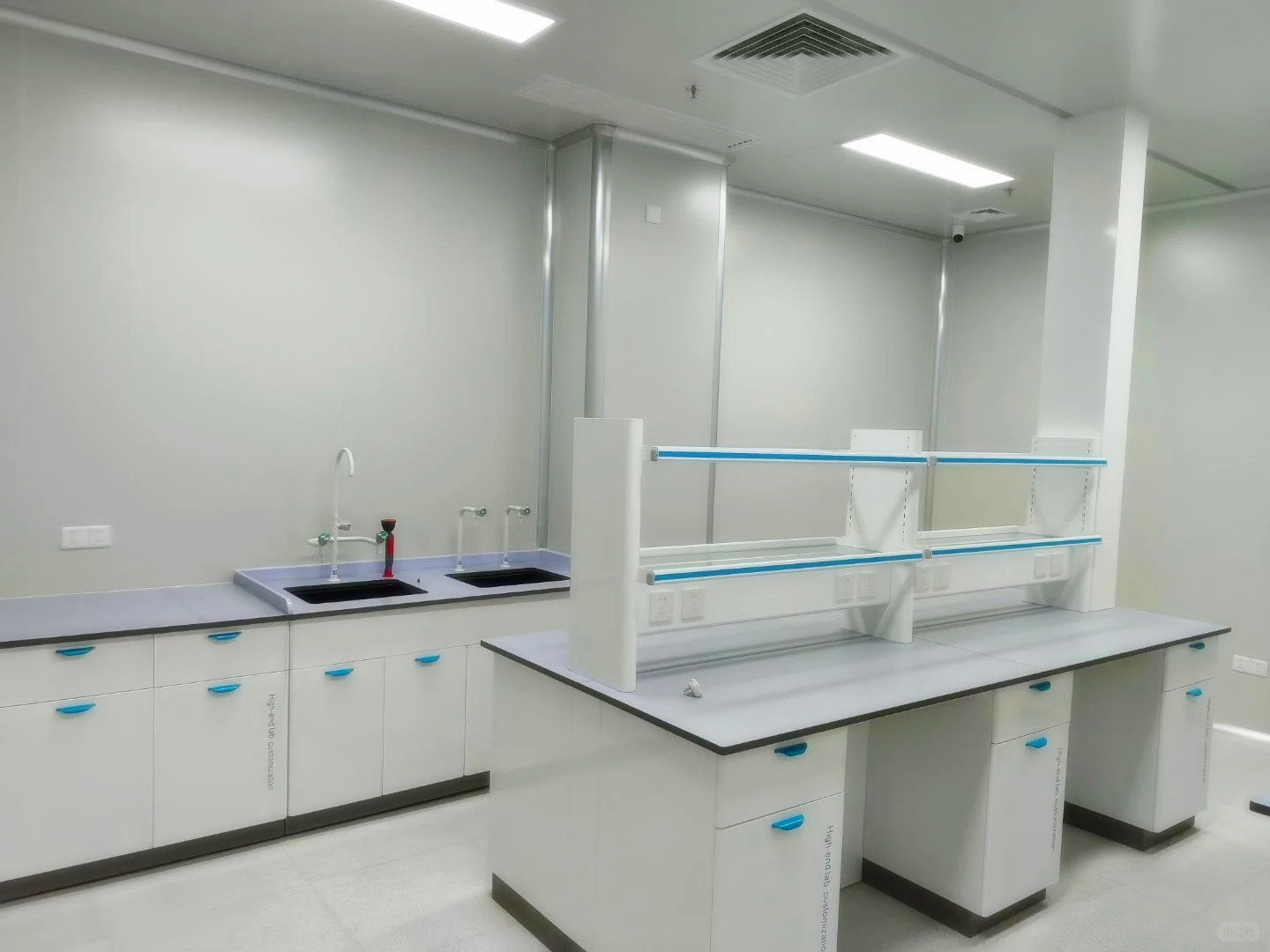 Customized Lab Benches With Reagent Shelf Lab Workstation With Water Sink and Upper Cupboard