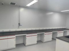 VitalLab All-Steel Laboratory Workbenches Sinks for Pharmaceutical Biology Clean Room Use Ultra-Clean Sterile Operation Tables