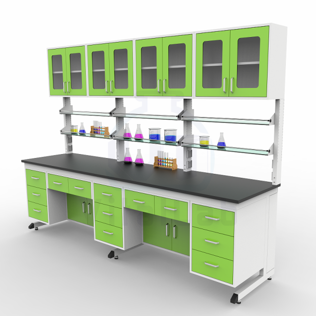Laboratory Workbench with Cupboard Steel Frame Storage Lab Table