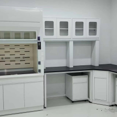 VitalLab OEM Modern Stainless Steel Corrosion-Resistant Epoxy Powder Coated Commercial Use Laboratory Furniture Fume Hood Lab