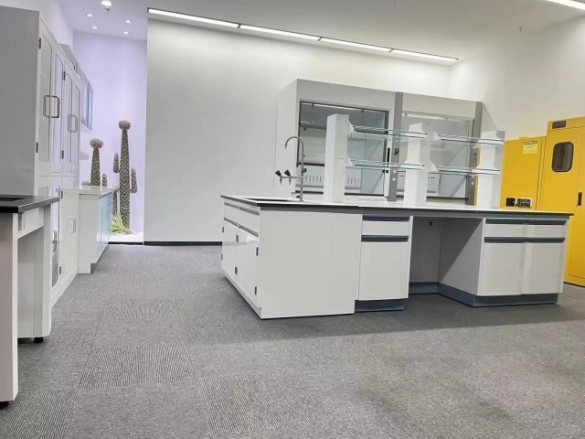 Customized Modern Metal Laboratory Furniture Lab Bench Medical Cabinet Workbench with C Frame and Stainless Steel Worktop