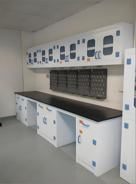 Modern Design Polypropylene Lab Bench with Reagent Shelf for Acid Alkali Resistance