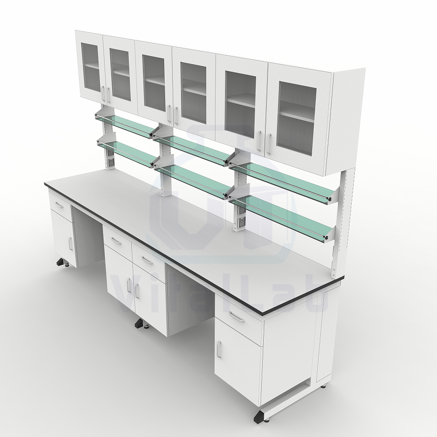 Easy Assembly Steel Laboratory Workbench Modern Design Pre-assembled Sections Lab Cabinet for Quick Setup Use