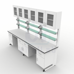 Easy Assembly Steel Laboratory Workbench Modern Design Pre-assembled Sections Lab Cabinet for Quick Setup Use Epoxy Powder