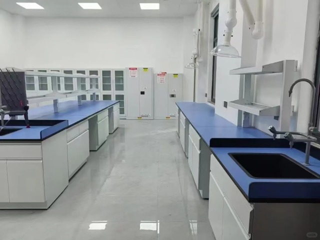 High Quality Metal Laboratory Countertops & Lab Tables Steel Lab Benches with Strong Alkali Resistance Modern Design