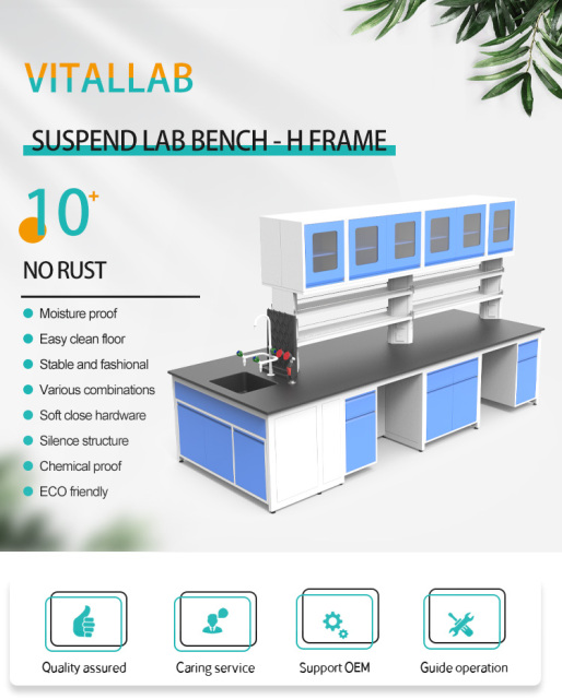 CE Certified Modern Epoxy Powder Coated Iron Frame Laboratory Table Bench with End Sink Cabinet Light on Shelf 2 Drawers