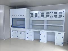Modern Design Polypropylene Lab Bench with Reagent Shelf for Acid Alkali Resistance