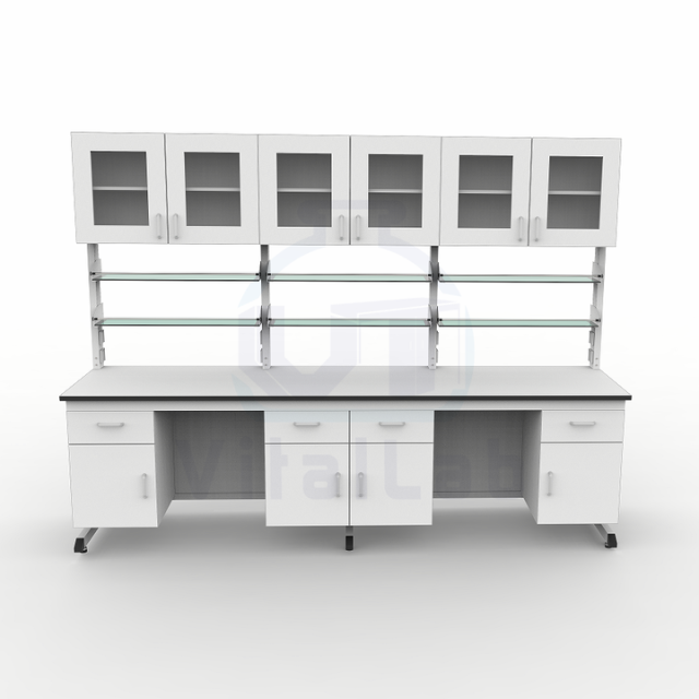 Easy Assembly Steel Laboratory Workbench Modern Design Pre-assembled Sections Lab Cabinet for Quick Setup Use Epoxy Powder