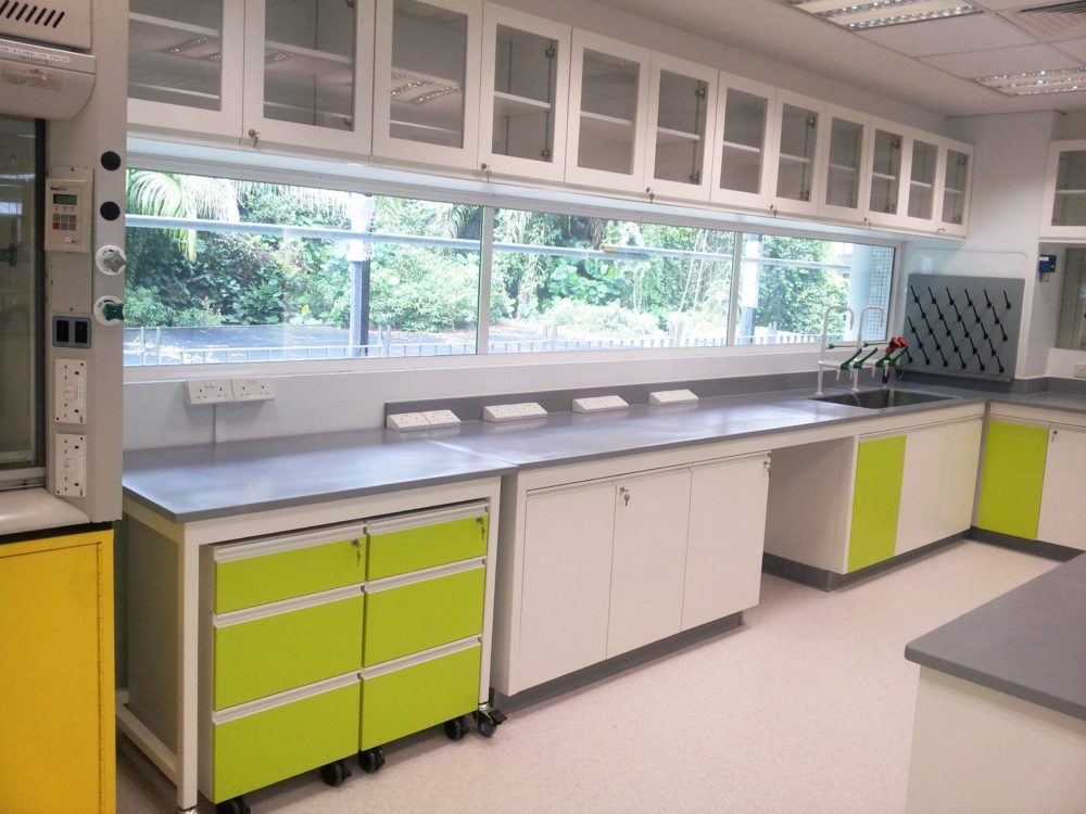 Floor Mounted Heavy Duty Lab Benches with Green and White Color for University