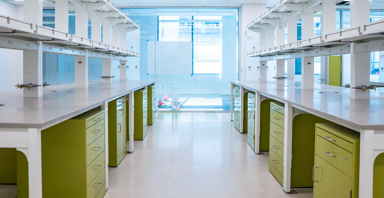 Floor Mounted Heavy Duty Lab Benches with Green and White Color for University