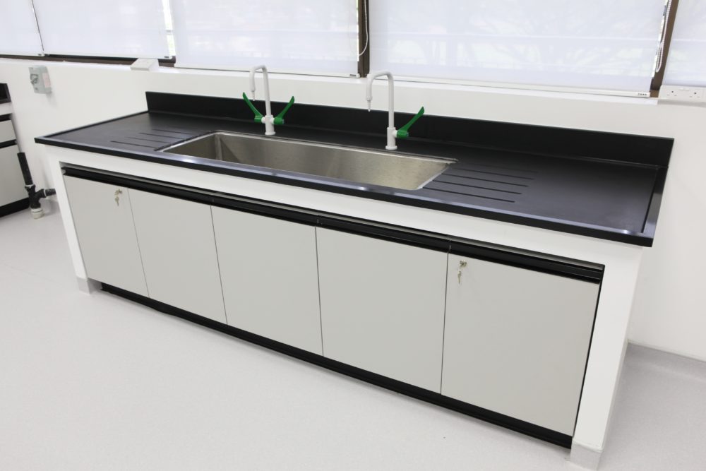University Physical Lab Wall Bench Electric Work Table with Metal Storage Cabinet and 4 Drawers for Chemical Laboratory