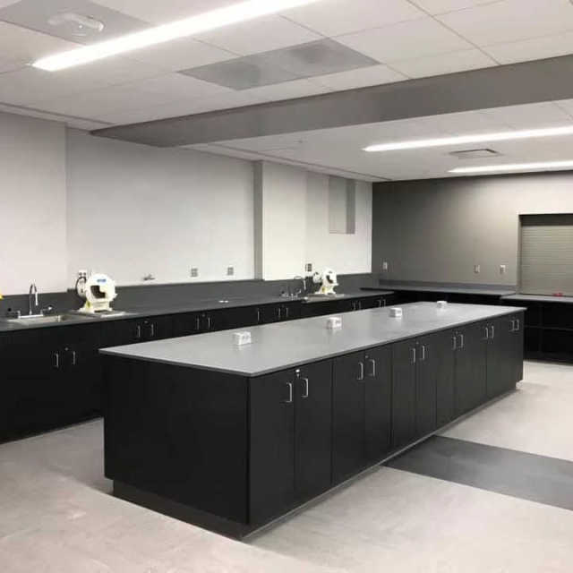 Stainless Steel Worktop Black Color Lab Bench Workstation for Sale
