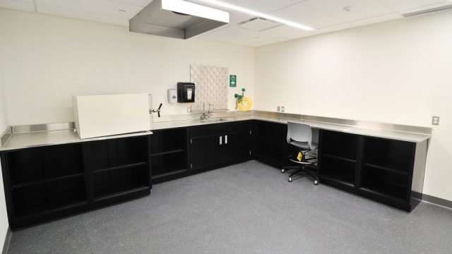 Stainless Steel Worktop Black Color Lab Bench Workstation for Sale
