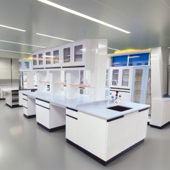 Compact Lab Benches with Sink Cabinet & Shelf & Upper Cupboard for Small Spaces