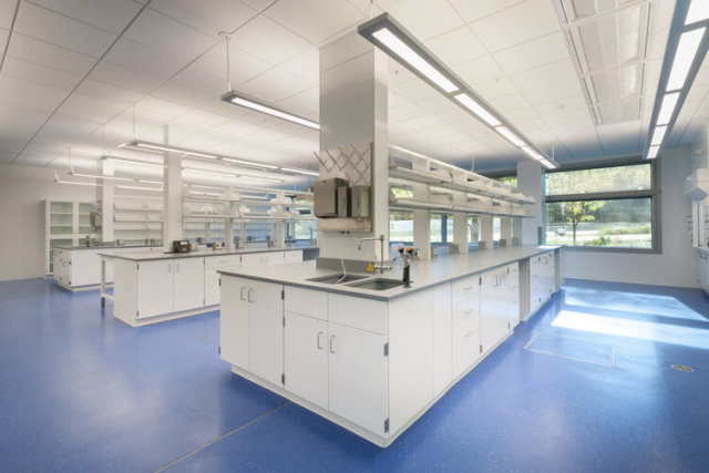 Compact Lab Benches with Sink Cabinet & Shelf & Upper Cupboard for Small Spaces