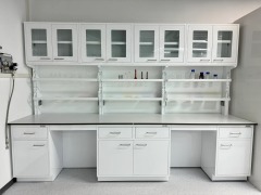 Electric Engineering Lab Bench with Sink and Faucet Lab Test Work Table with Lighting