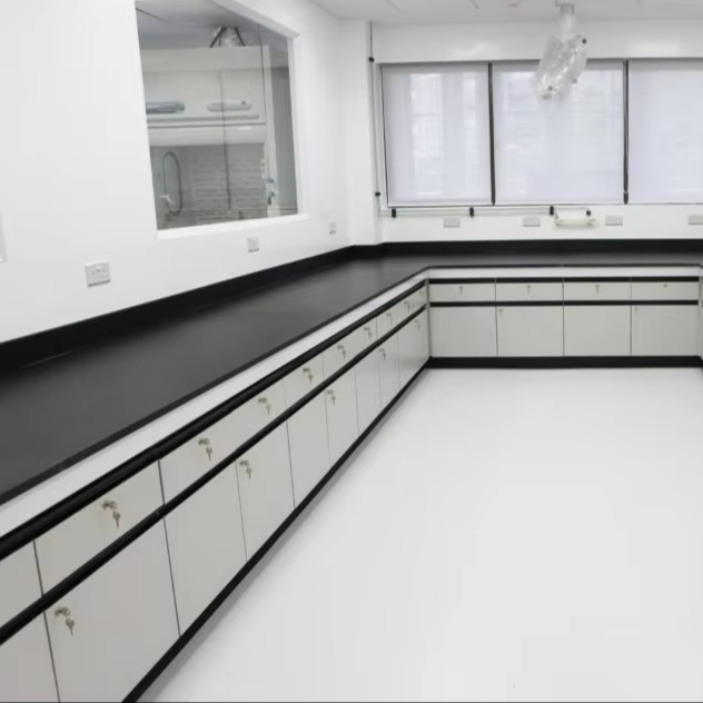 University Physical Lab Wall Bench Electric Work Table with Metal Storage Cabinet and 4 Drawers for Chemical Laboratory
