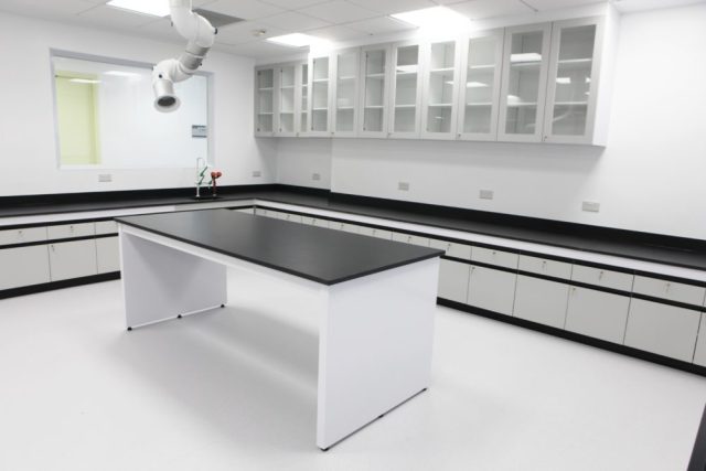 University Physical Lab Wall Bench Electric Work Table with Metal Storage Cabinet and 4 Drawers for Chemical Laboratory