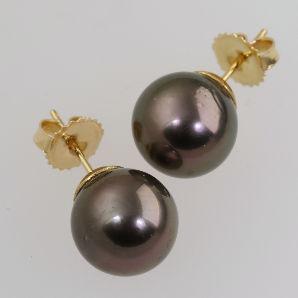 Solid 14K Gold South Sea Pearl Earrings