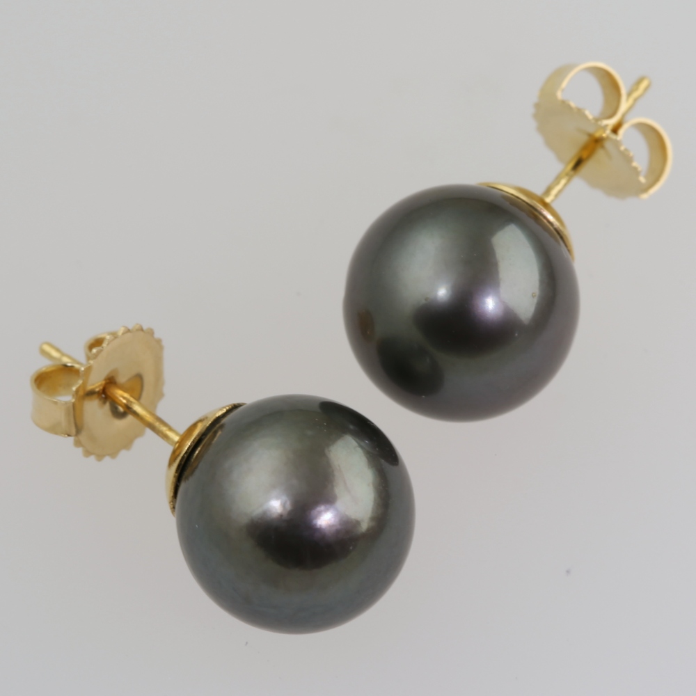 Solid 14K Gold South Sea Pearl Earrings