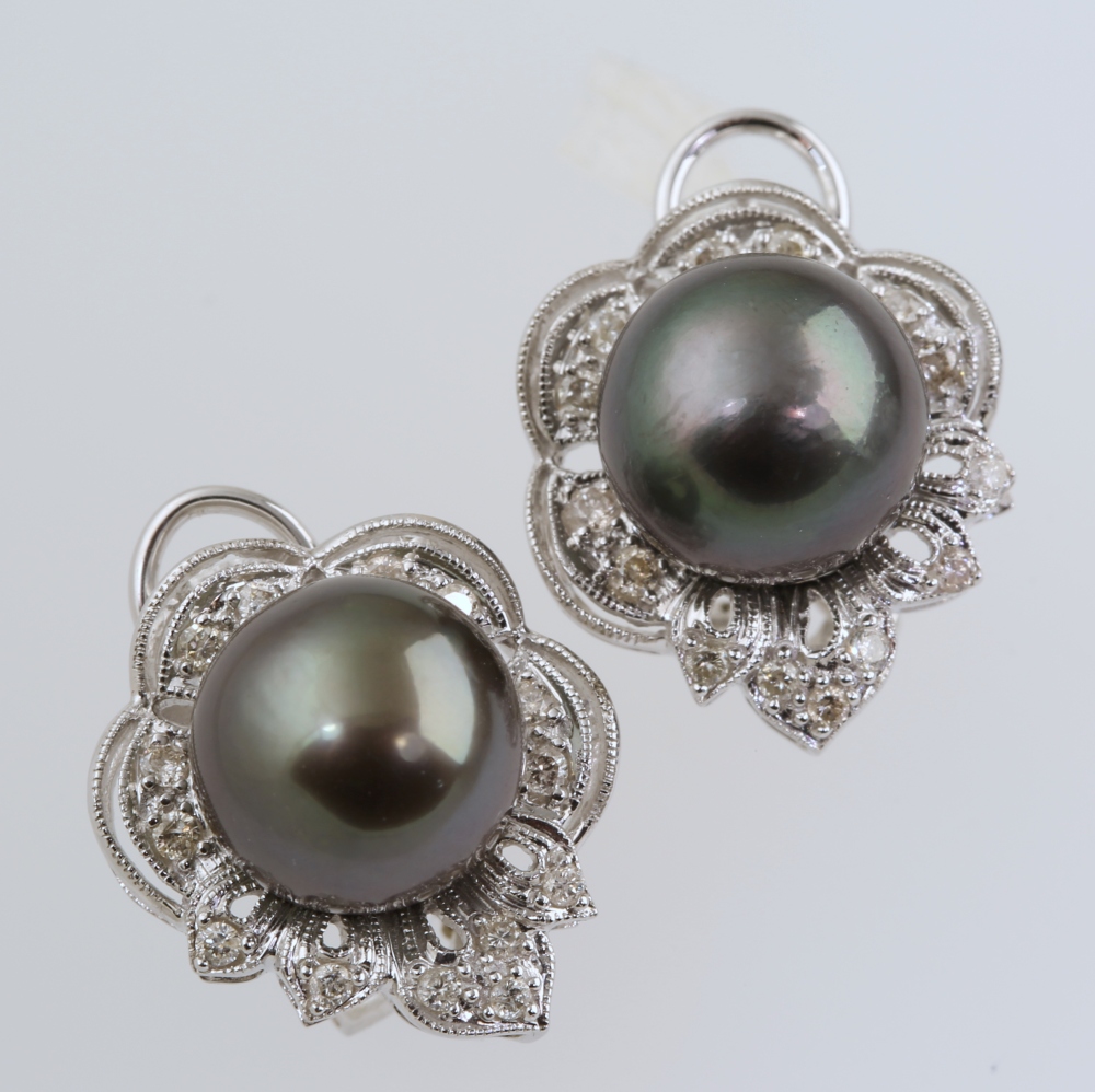 Solid 14K Gold South Sea Pearl Earrings