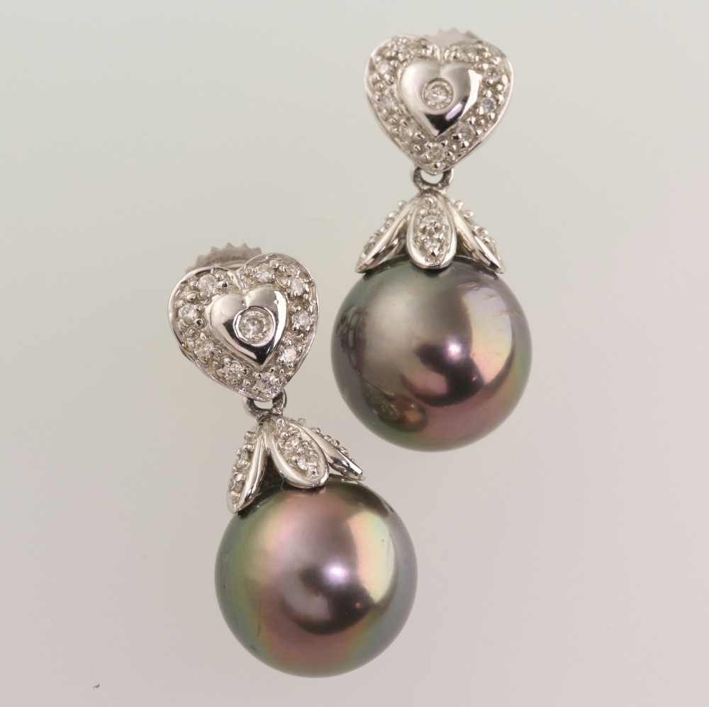 Solid 14K Gold South Sea Pearl Earrings