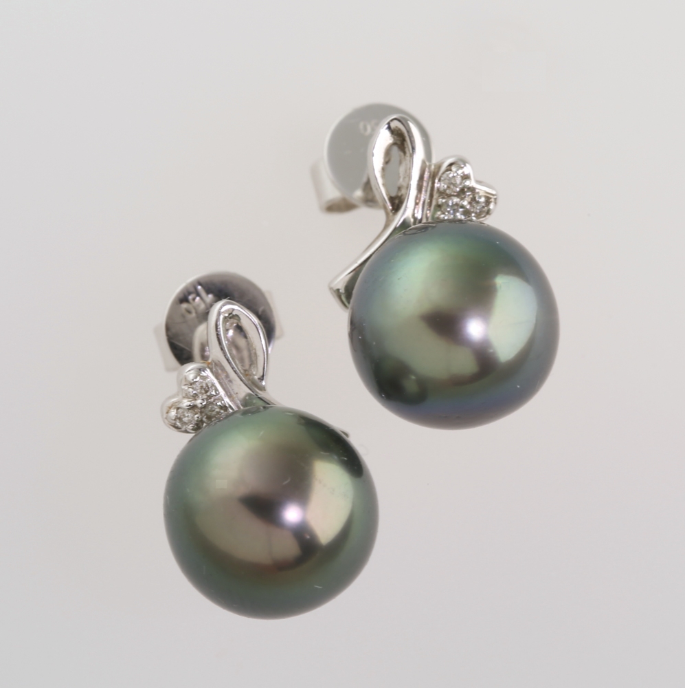 Solid 14K Gold South Sea Pearl Earrings