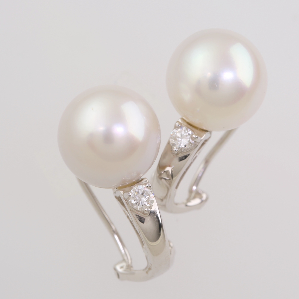 Solid 14K Gold South Sea Pearl Earrings
