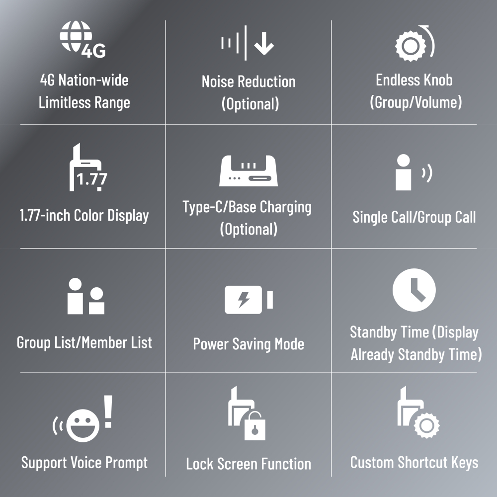 IP-Q1