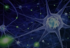 VITA高通量FFPE单细胞转录组测序