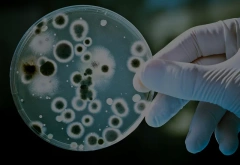 VITA单菌种单细菌转录组测序