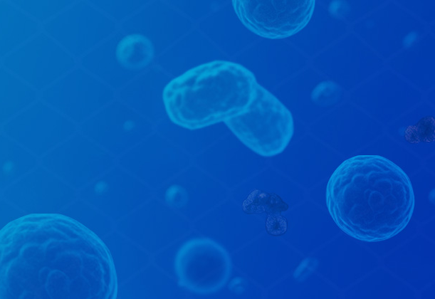 类器官构建与3D细胞培养