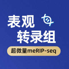 超微量 meRIP-seq