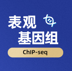 ChIP-seq