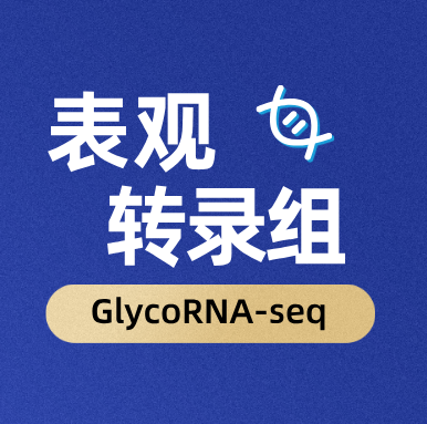 GlycoRNA-seq
