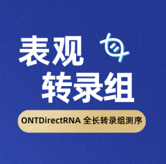 ONTDirectRNA 全长转录组测序