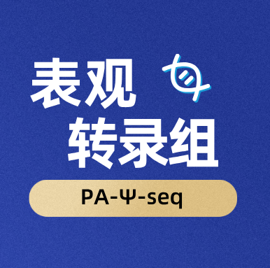 PA-Ψ-seq