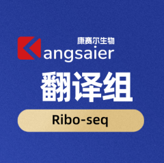 Ribo-seq（Ribosome Profiling）