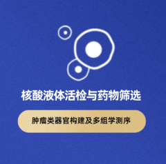 肿瘤类器官构建及多组学测序服务