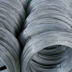 Sae10b22 Hot Rolled Steel Wire Rod