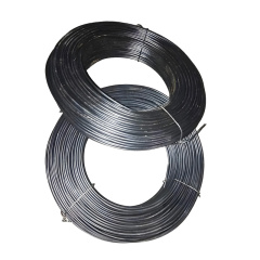 Sae10b22 Hot Rolled Steel Wire Rod