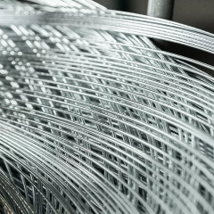 Hot Rolled Steel Wire Rod Nail Coil