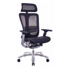 Ergonomic Desk Chairs & Office Chairs