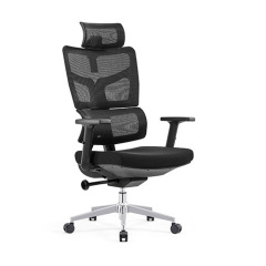 Ergonomic Office Chairs