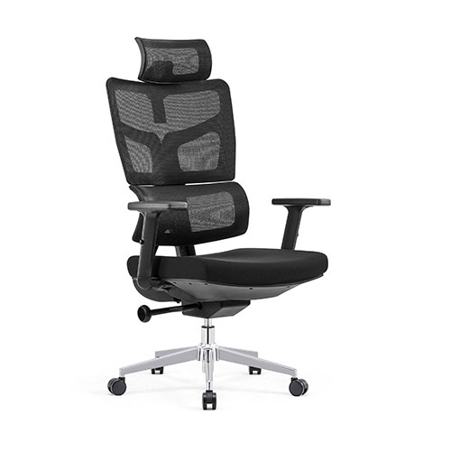 Ergonomic Office Chairs