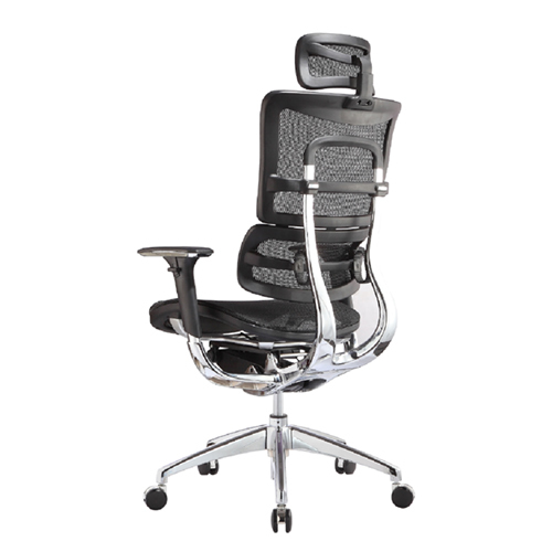 Ergonomic Desk Chairs